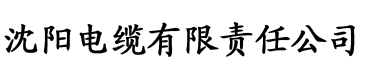 黑豹影院电缆厂logo